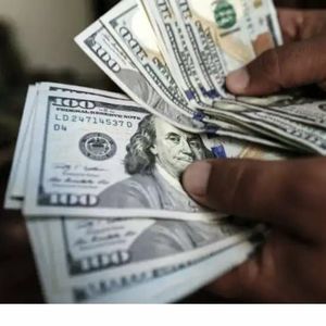 Meet your Posher, Jerrell